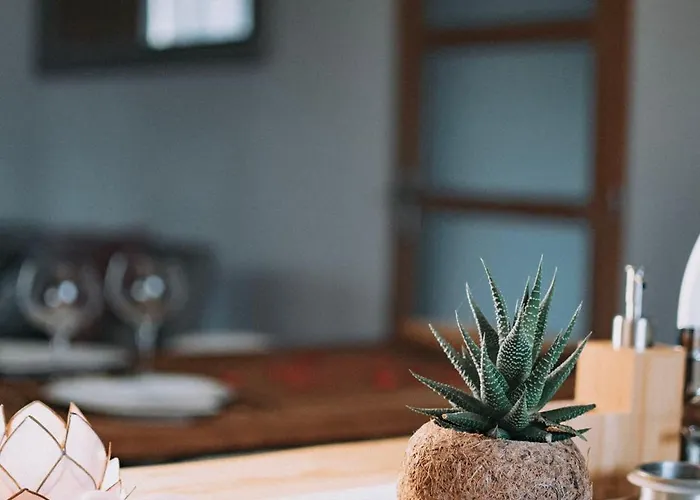 De Penelope Lunéville