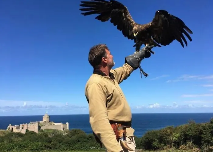 De Penelope Lunéville